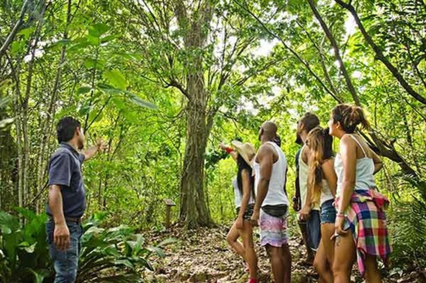 <p>(v): đi du lịch sinh thái</p>