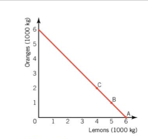 <p>PPC Curve - constant opportunity cost</p>