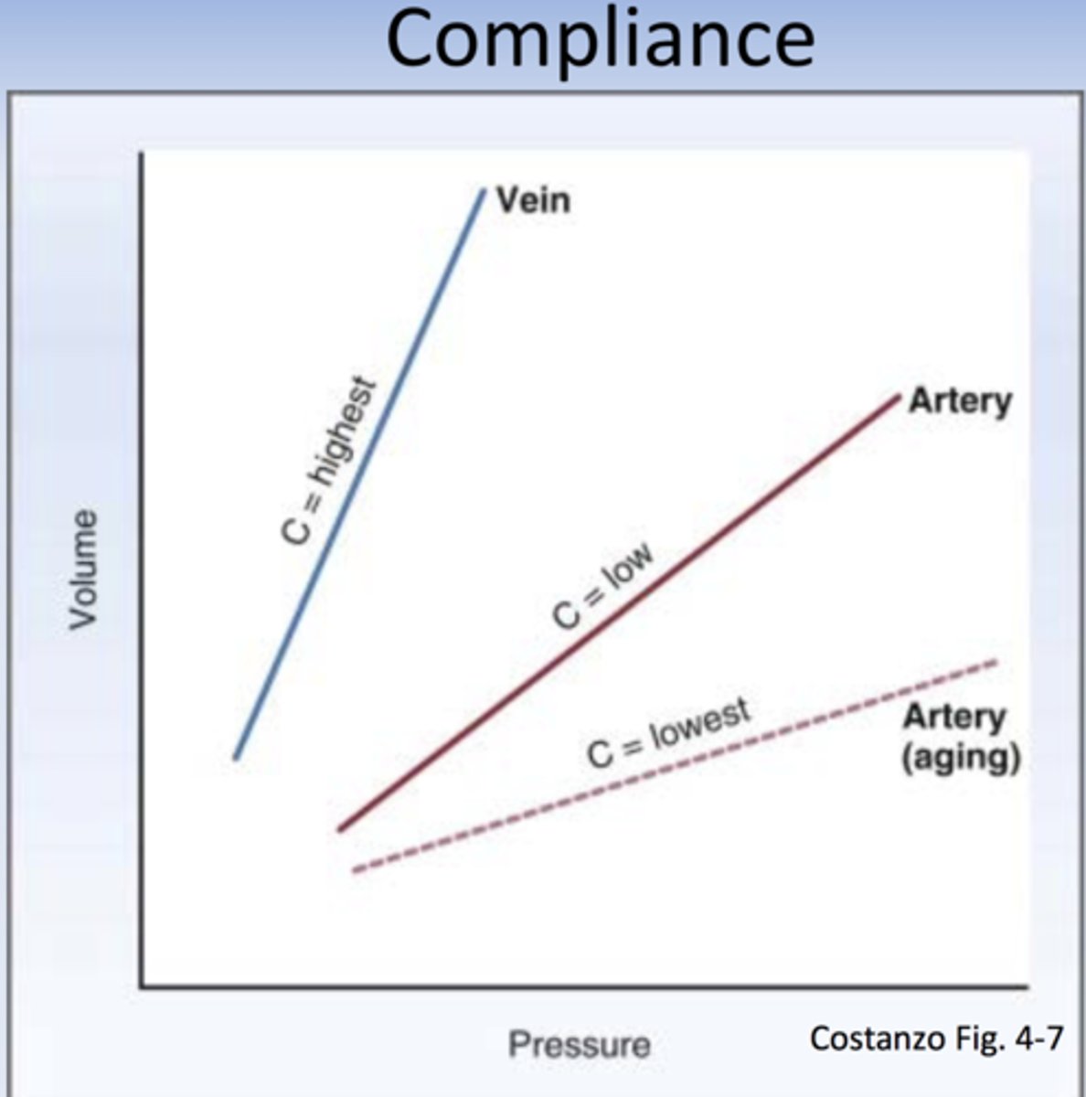 <p>the ability of a vessel to respond to an increase in pressure by to distending or swell and increase the volume of blood it can hold, or with decreased pressure, a decrease in volume</p>