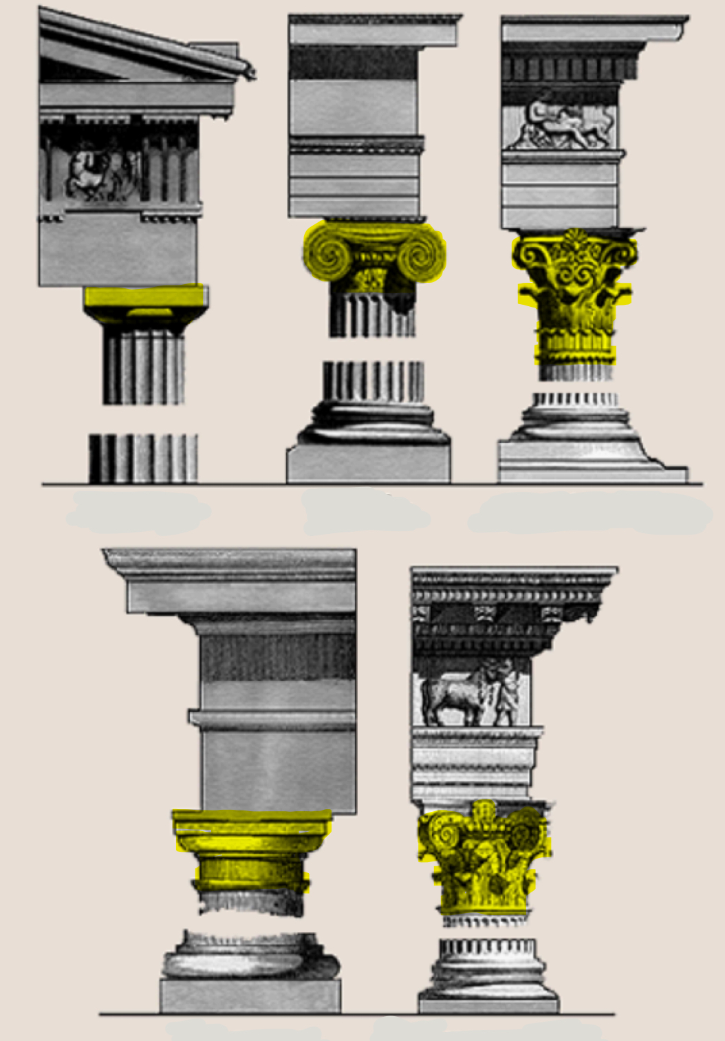 term image