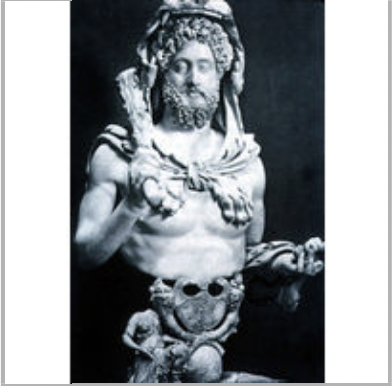 term image