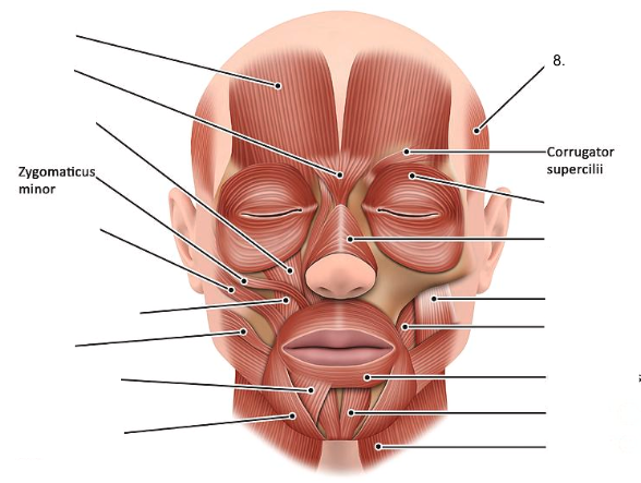 <ol start="8"><li><p></p></li></ol><p></p>