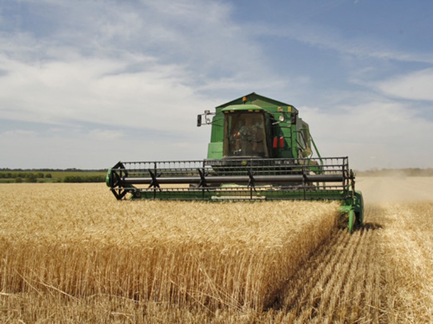 <p>crop, harvest</p>