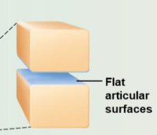 <p>Planar joints</p>