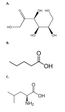 <p><span>Which of the molecules below is an amino acid?</span></p>