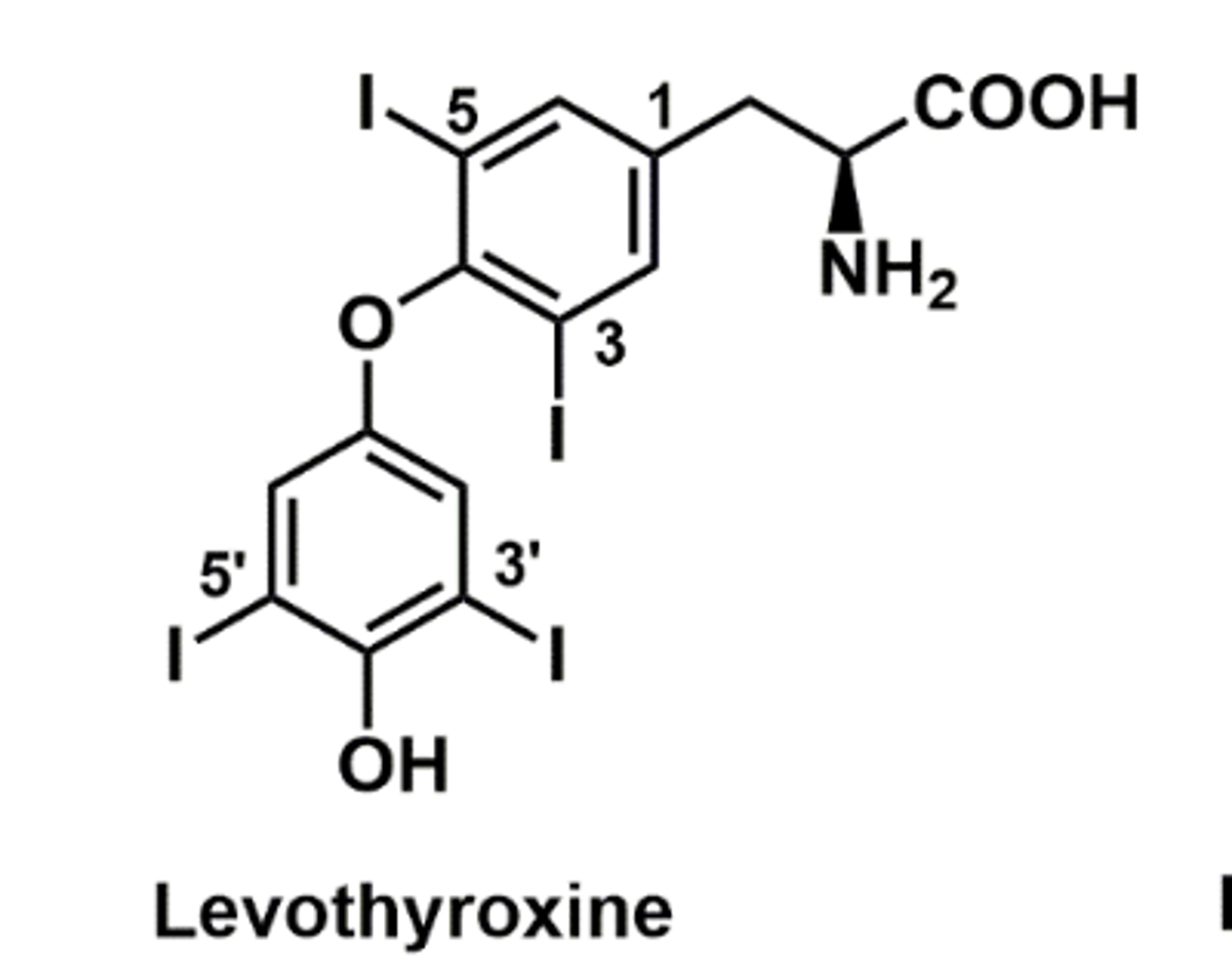 <p>T4</p><p>2 iodines at C3' and C5'</p>