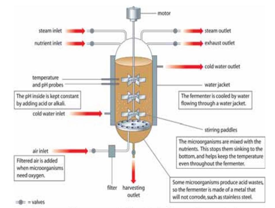 <p>They are large tanks that can hold up to 200,000dm<sup>3</sup> of a liquid culture.</p><p>They enable environmental conditions (e.g. temperature, oxygen, CO<sub>2</sub> concentrations, pH and nutrient supply) to be carefully controlled so that microorganisms will yield their products most efficiently.</p>