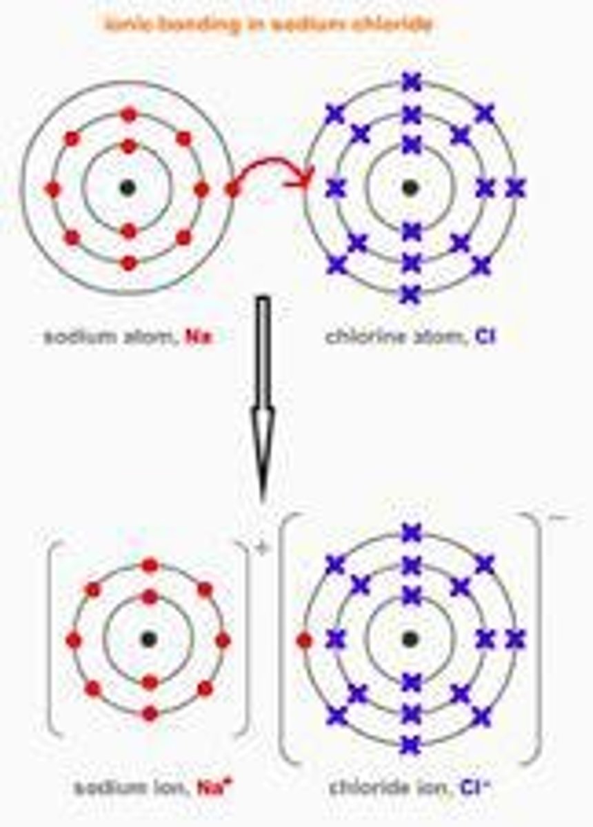 <p>Particles are oppositely charged ions formed from metals combined with non-metals.</p>