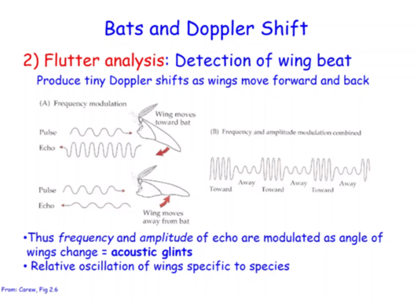<p>- a bat can use tiny doppler shifts caused by flapping of insects wings - as they move away and towards the bat to determine which species is being tracked<br><br>~see image~</p>