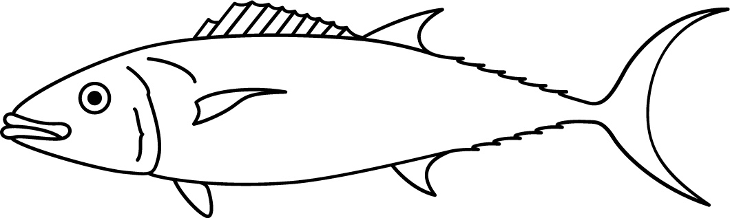 <p>Finlets<br>Torpedo shaped body<br>Size: 100 cm</p>