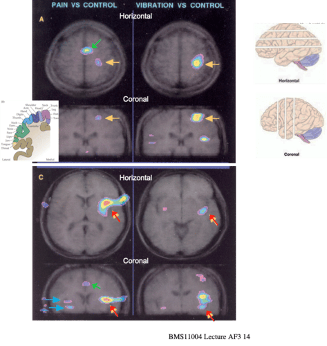 <p>What does the bottom panel show?</p>