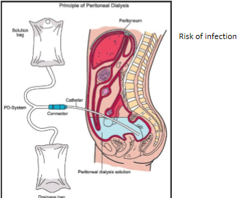 <p>what is the peritoneal membrane </p>