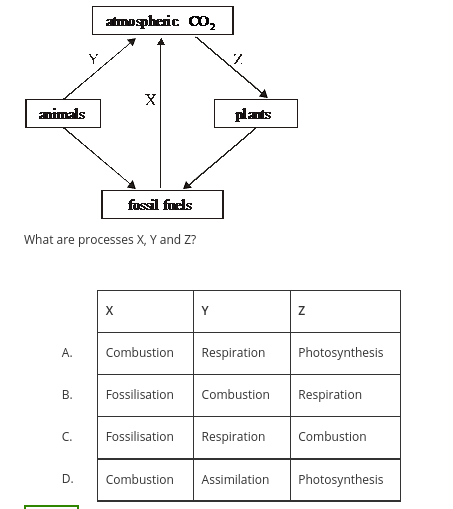 <p>The figure below shows a simplified model of the carbon cycle. Each arrow represents a process which involves a transfer of carbon.</p>
