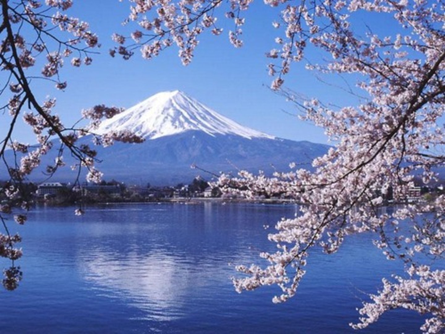 <p>Mt. Fuji is higher than any other mountain in Japan.</p>