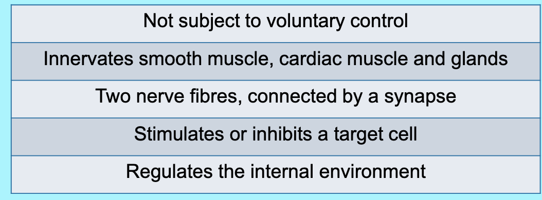 <p>» Primary function</p><p>» Involuntary control</p><p>» Collaboration between ANS and the endocrine system</p><p></p><p></p>