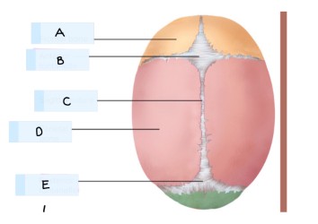 <p>What is C?</p>