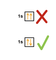 <p>no 2 electrons have the exact same energy state</p><p>electrons have a quantum property called <strong>spin</strong></p><p>max of 2 electrons in an orbital, must have opposite spin</p>