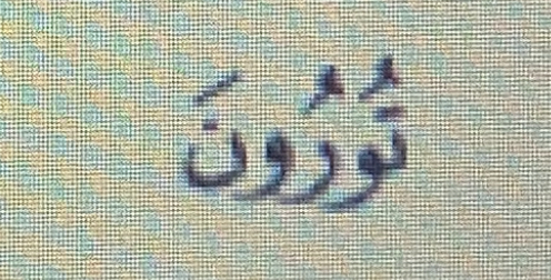 term image