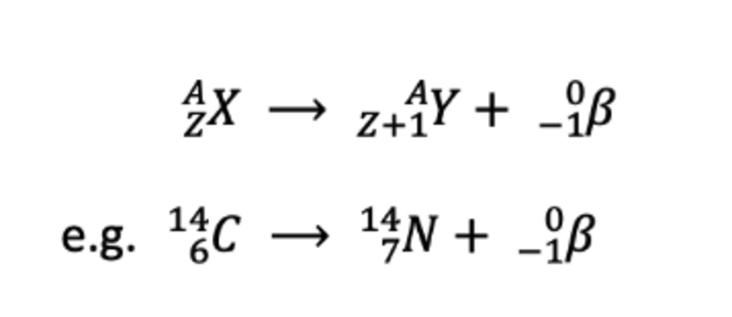 <p>mass number stays the same, proton number increases by one</p>