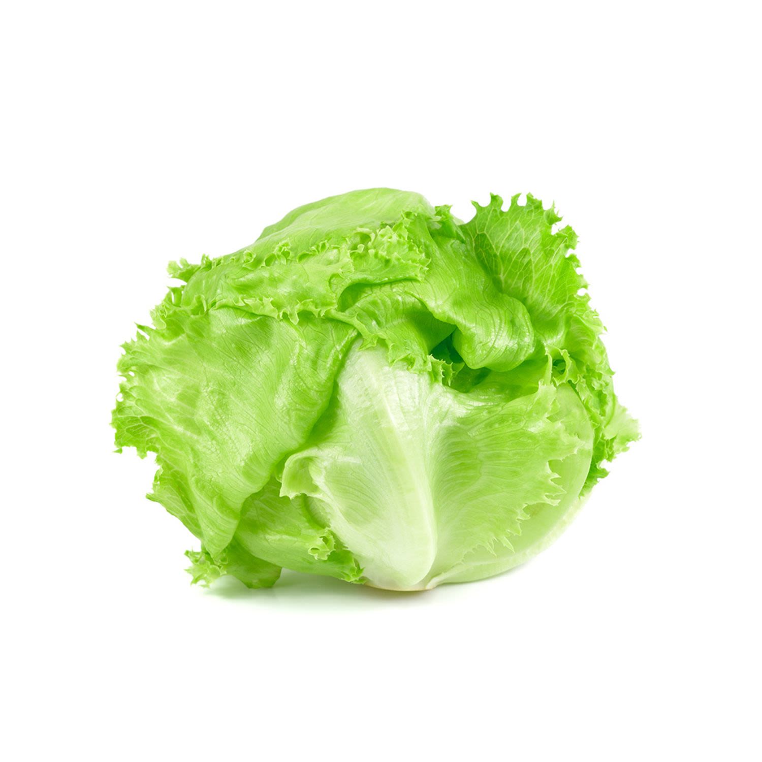 <p>Lettuce (iceberg)</p>