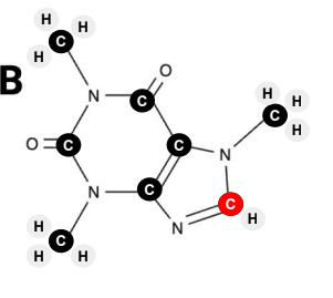 <p><span>True</span></p>