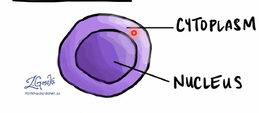 <p>What is shown?</p>