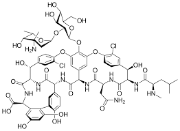 <p>What’s physically significant about Vancomycin (has to do with why it’s narrow spectrum antibiotic)?</p>
