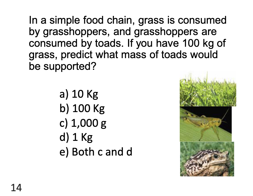 <p>In a simple food chain, grass is consumed by grasshoppers, and grasshoppers are consumed by toads. If you have 100kg of grass, predict what mass of toads would be supported?</p>