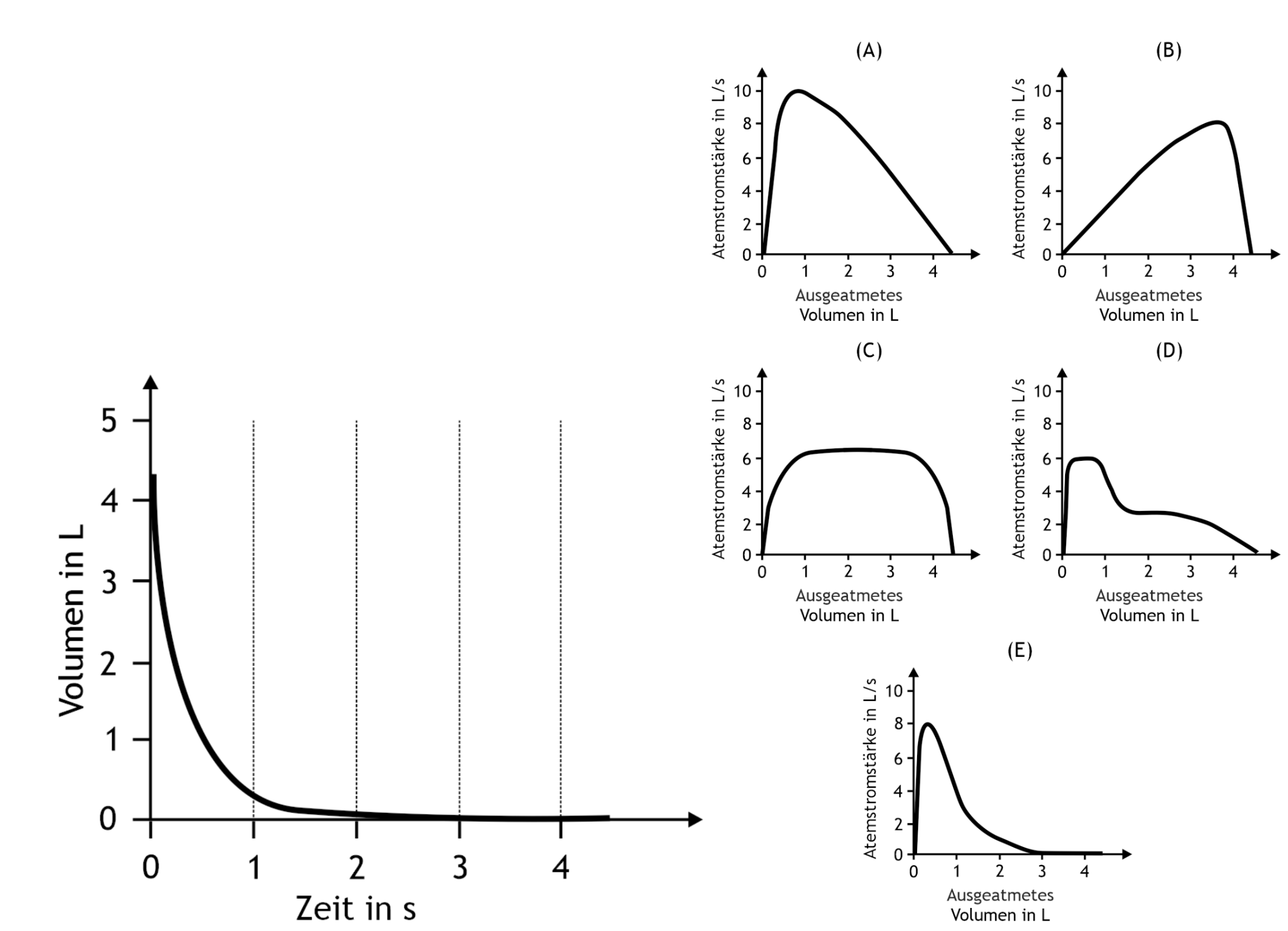 <p>29. As part of a pre-employment medical examination, a forced expiratory test (Tiffeneau test) is performed after maximal inspiration. The figure shows the measurement result.</p><p>Which of the following diagrams most likely represents the corresponding flow–volume curve?</p><p>A. (A)</p><p>B. (B)</p><p>C. (C)</p><p>D. (D)</p><p>E. (</p>