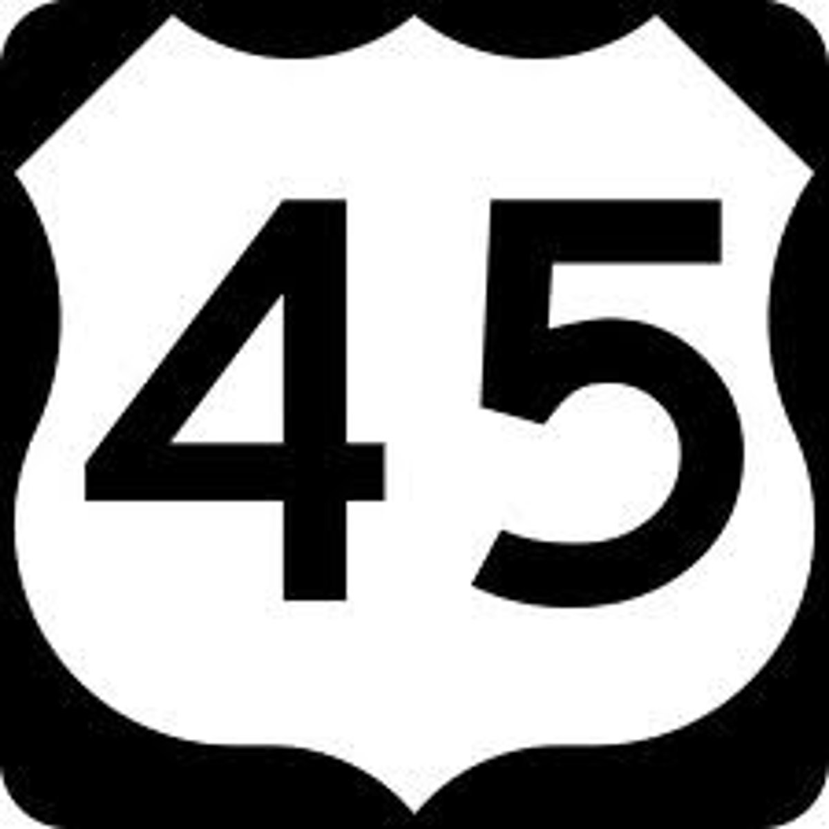 <p>45 (forty-five)</p>