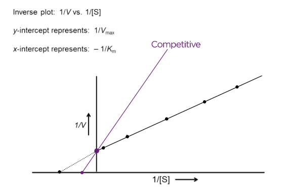 <p>V-max same = y-intercept the same</p><p>Km increases = x-intercept approaches zero</p>