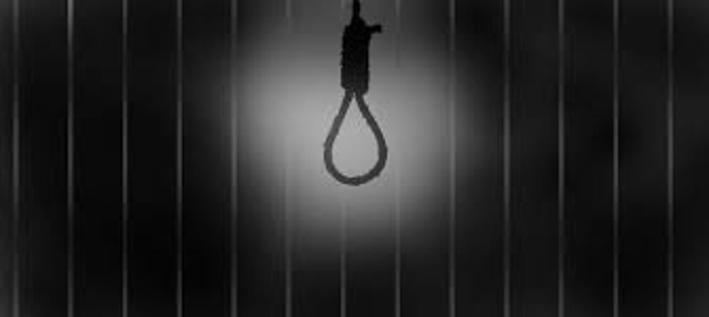 <p>n.实行，执行；处死刑</p>