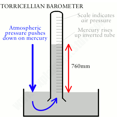 <p>Pressure of atmosphere pushes down on mercury + based on the air pressure the mercury will rise or fall certain levels</p>