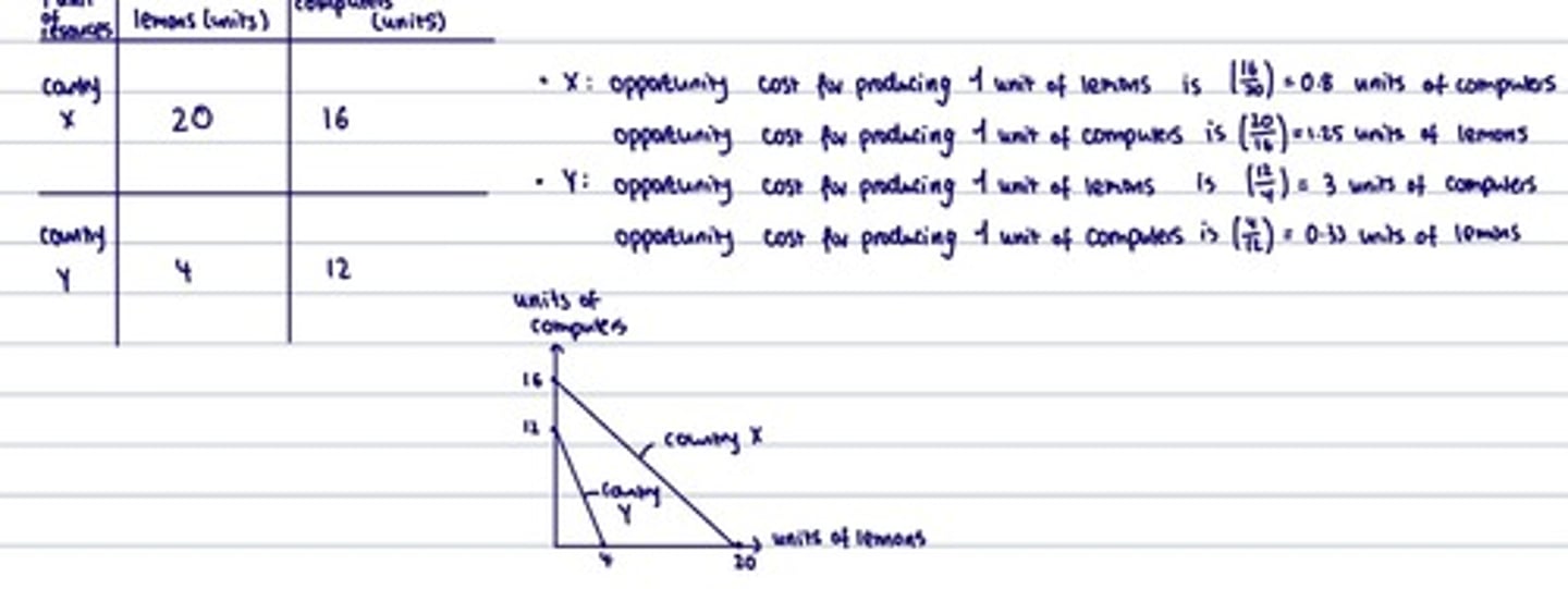 <p>- one country has a lower opportunity cost of producing a good than another country</p><p>- however there are still efficiency benefits from trade because the countries have different opportunity costs of producing the two goods</p><p>ie. one country can produce more of good x and of good y but it will still trade with the other country because there is an opportunity cost if it is producing x instead of just y</p>