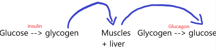 <p><span style="color: rgb(243, 12, 12);">Hormones</span></p>