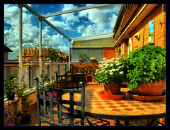 <p>the terrace</p>