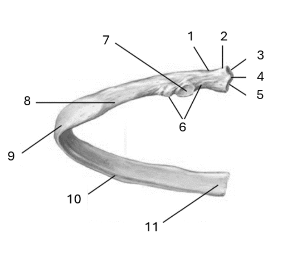 <p>3</p>