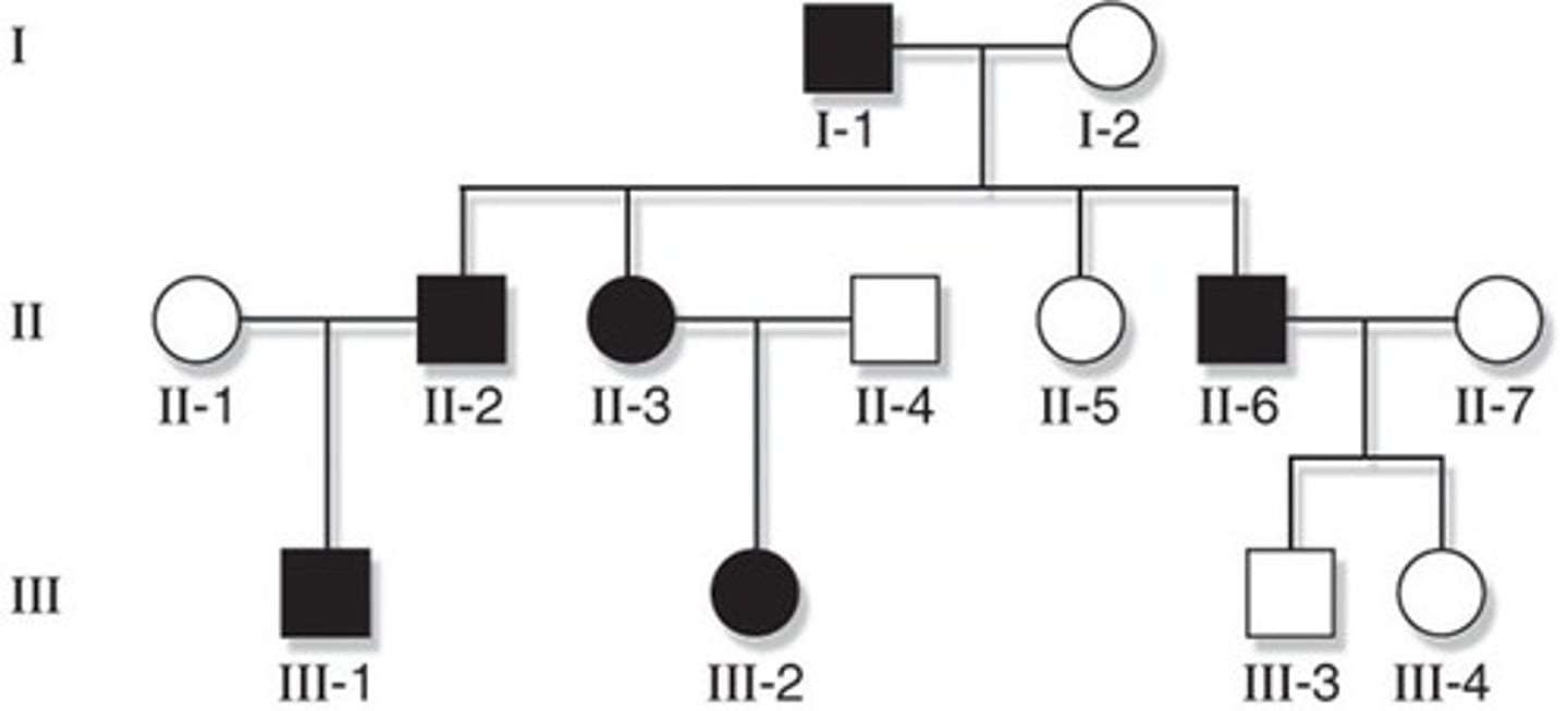 <p>Chart showing one trait being carried over many generations</p>