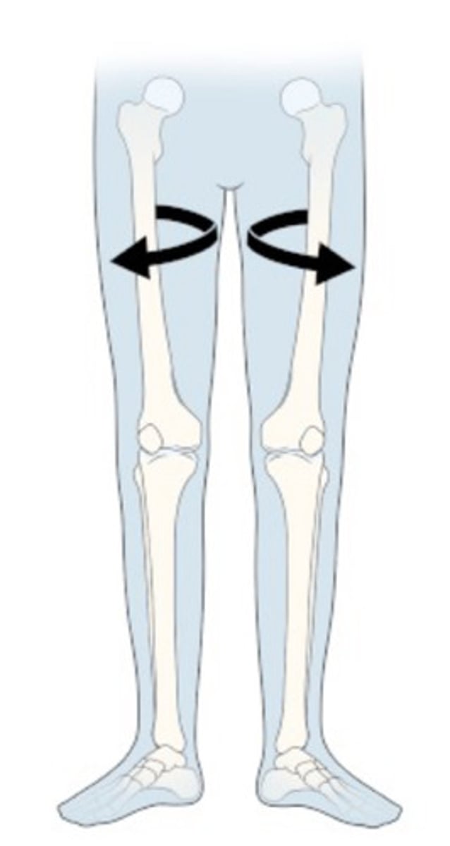 <p>What does this image show?</p>