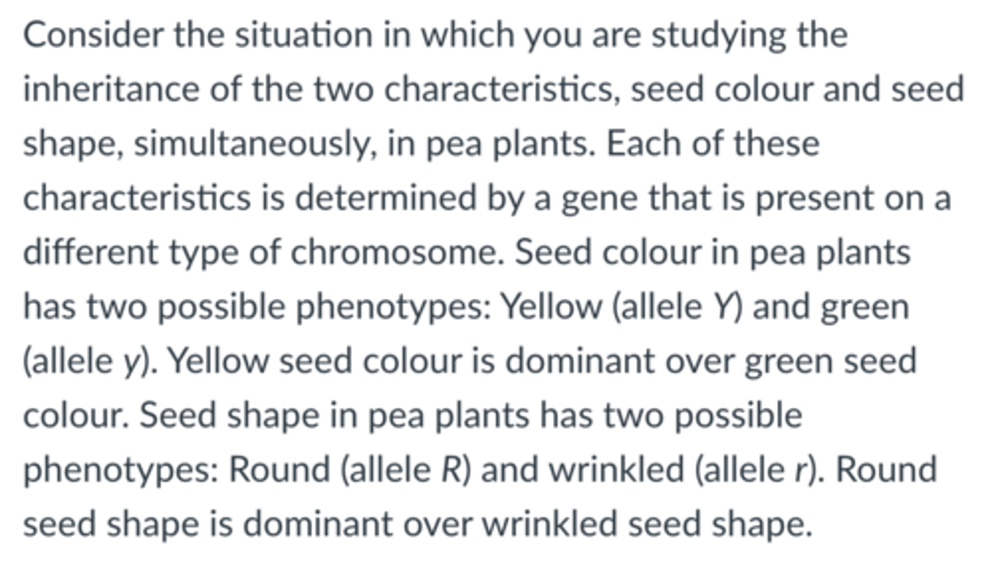 <p>If two pea plants that are heterozygous at both the seed colour and seed shape loci are crossed producing 224 offspring, then what is the expected number of yellow, wrinkled offspring?</p>