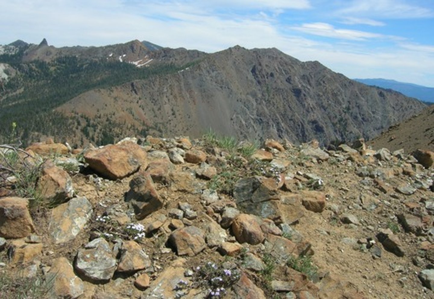 <p>Soil that remains above its parent rock</p>