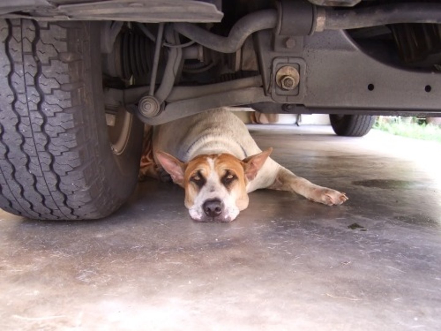 <p>unter dem Wagen liegen</p>