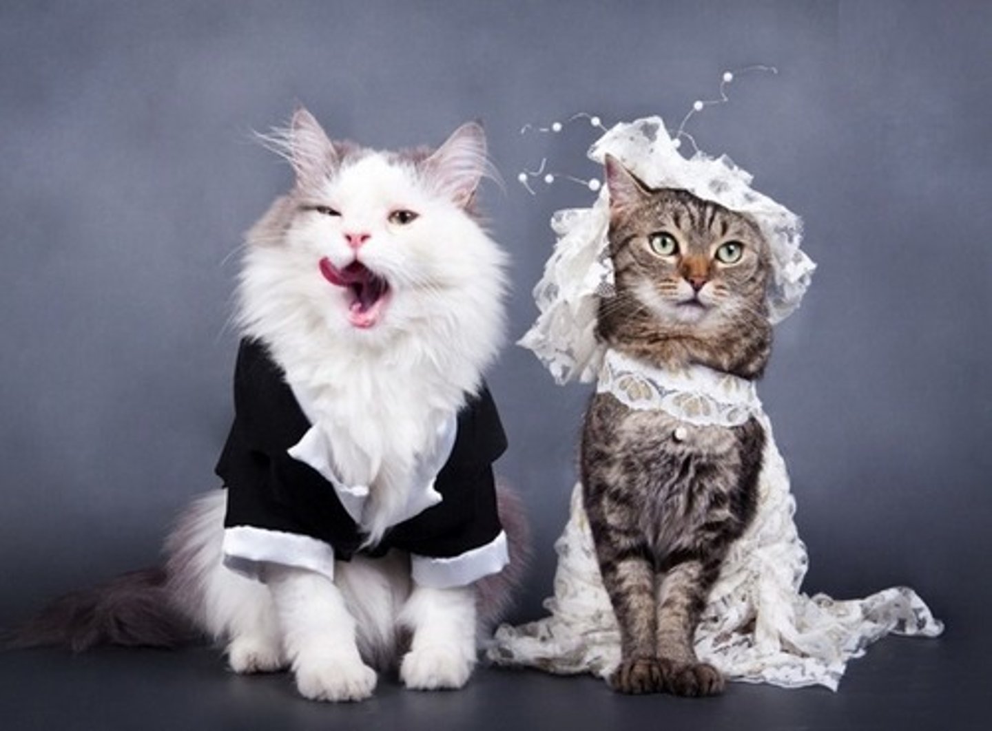 <p>to get married</p>