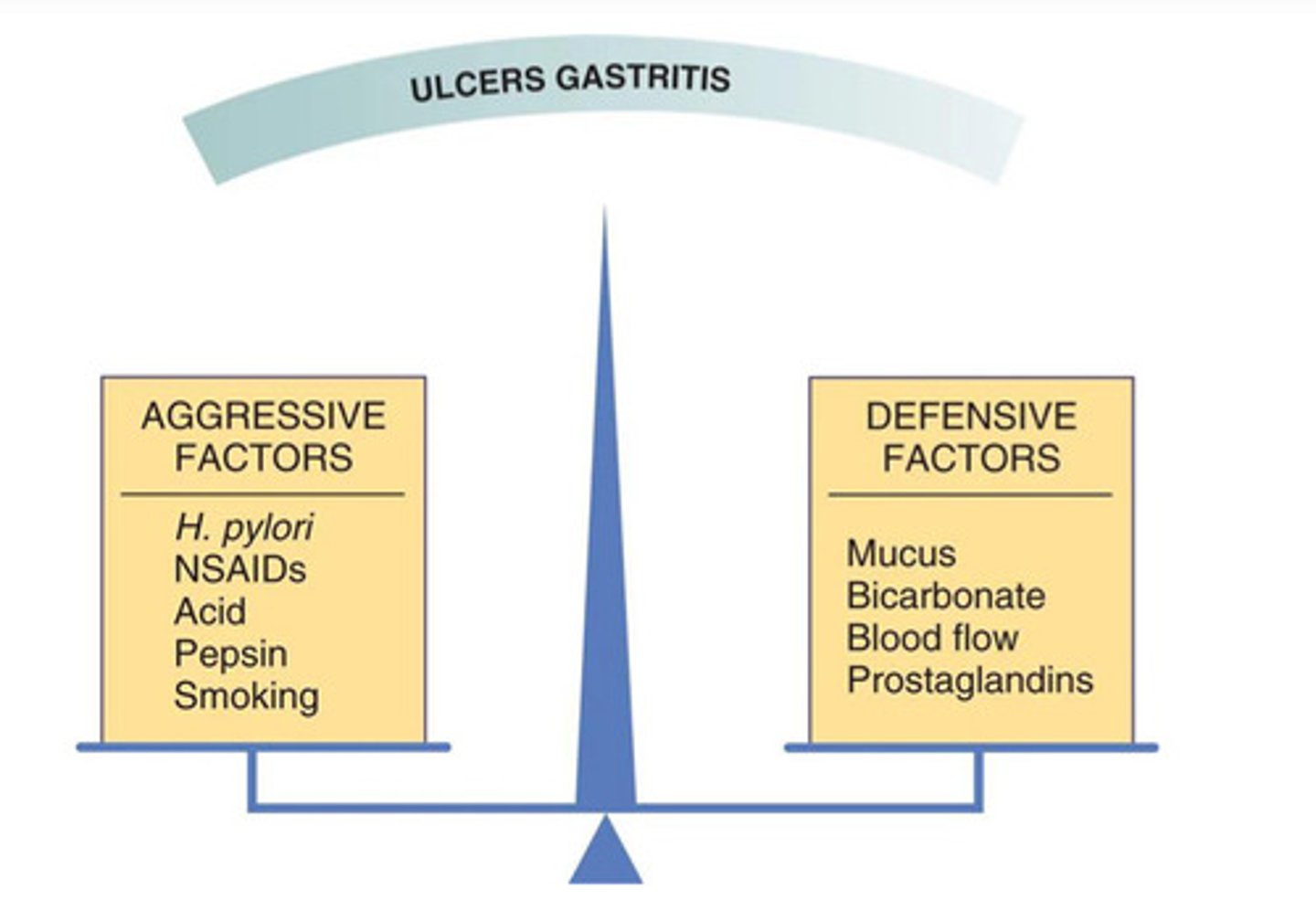<p>aggressive: acid, pepsin, gastrin, bile acid</p><p>defensive: mucosal blood flow, bicarb, cellular regeneration, prostaglandins</p><p>(remember prostaglandins were actually aggressive factor in GERD bc lower LES pressure!!)</p>