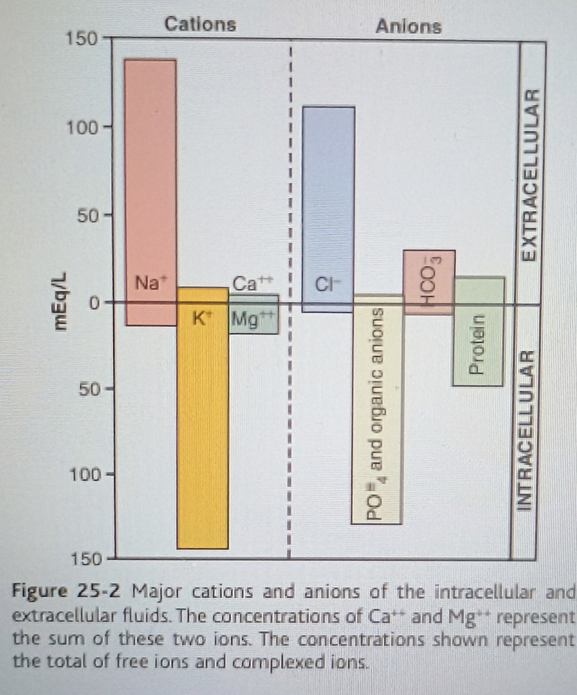 <p>Na+, Ca2+, K+ a little</p>