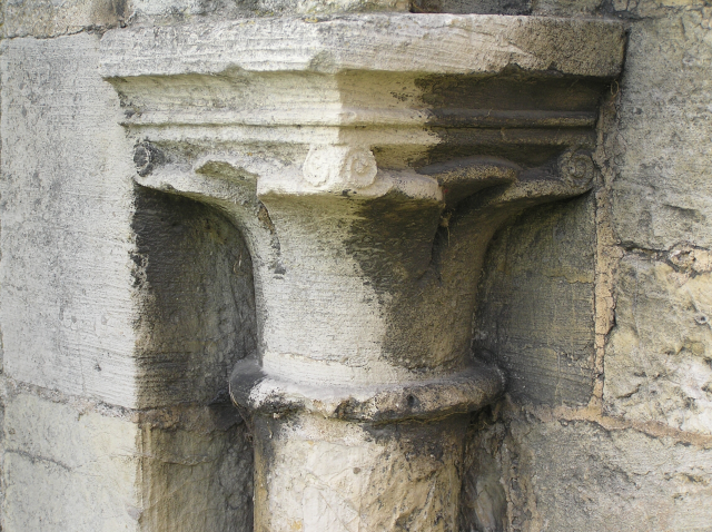 term image