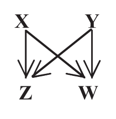 <p>What type of forward network motif is shown here?</p>