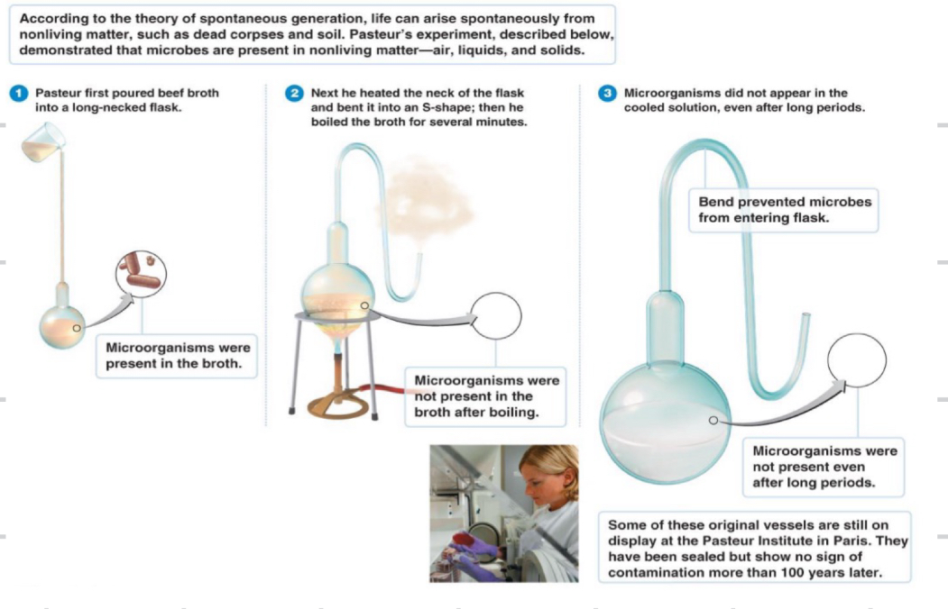 <p>In 1861, who did experiments to that showed microorganisms are present in the air</p>