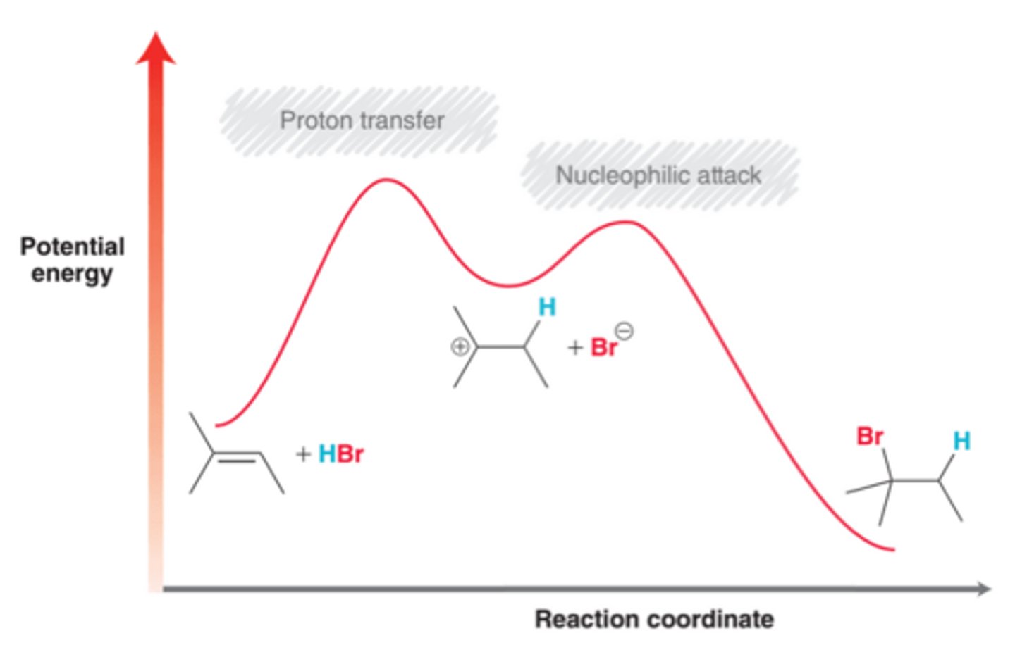 <p>The observed regioselectivity for this process can be attributed to the first step of the mechanism(proton transfer), which is the rate-determining step because it exhibits a higher transition energy than the second step of the mechanism</p>