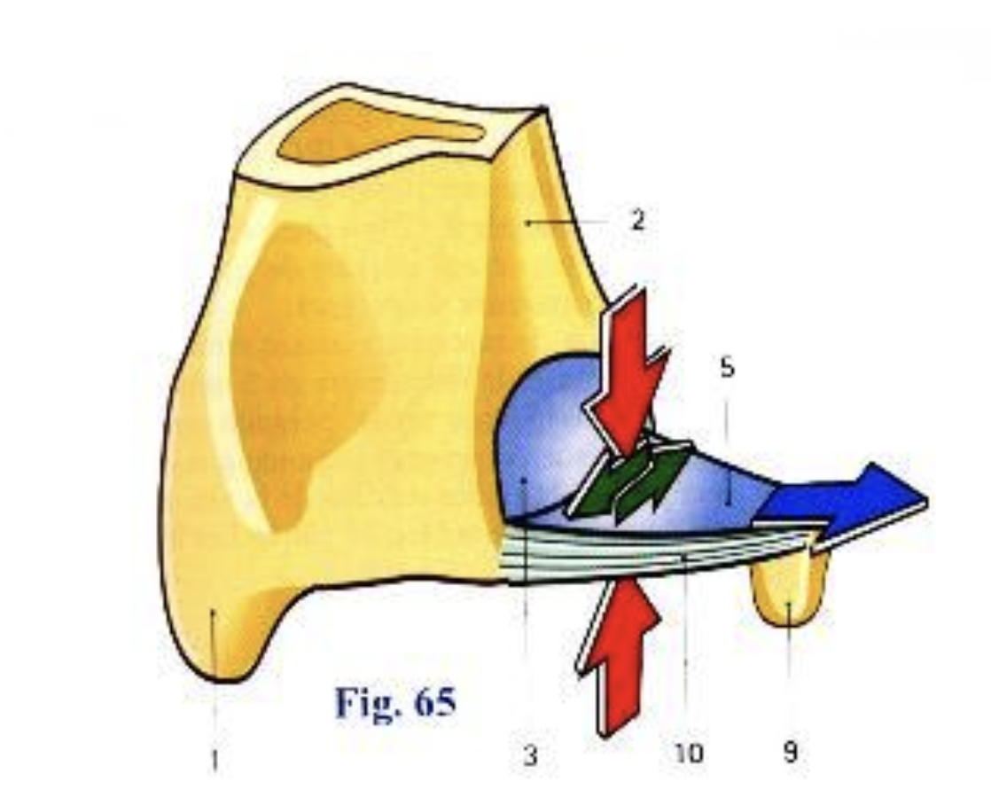 <p>Soumis à des forces de traction, de compression et de cisaillement</p>